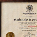 Positive Psychology Certificate